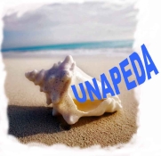 Logo UNAPEDA
